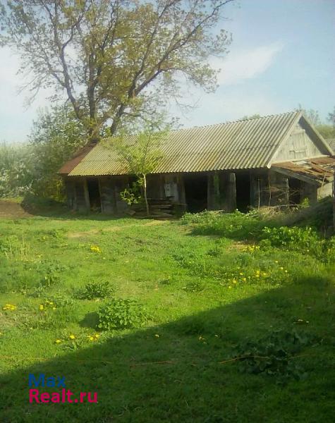 Мучкапский село Чащино продажа частного дома