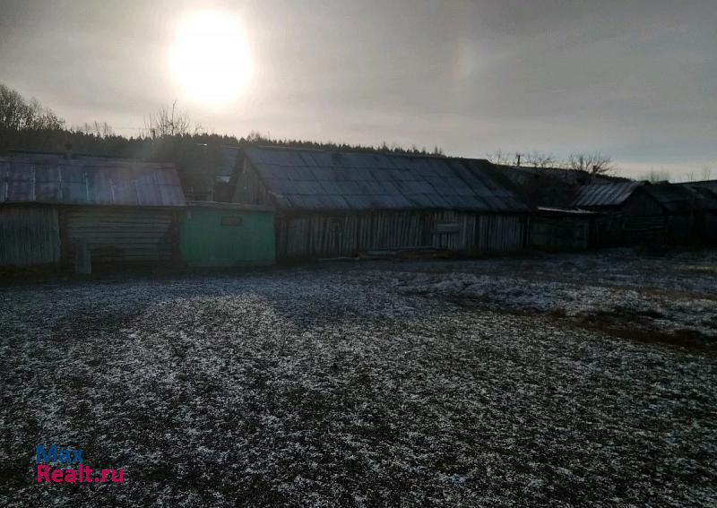 Мензелинск село Адаево продажа частного дома