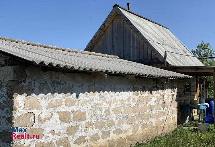 Большая Черниговка село Муратшино продажа частного дома