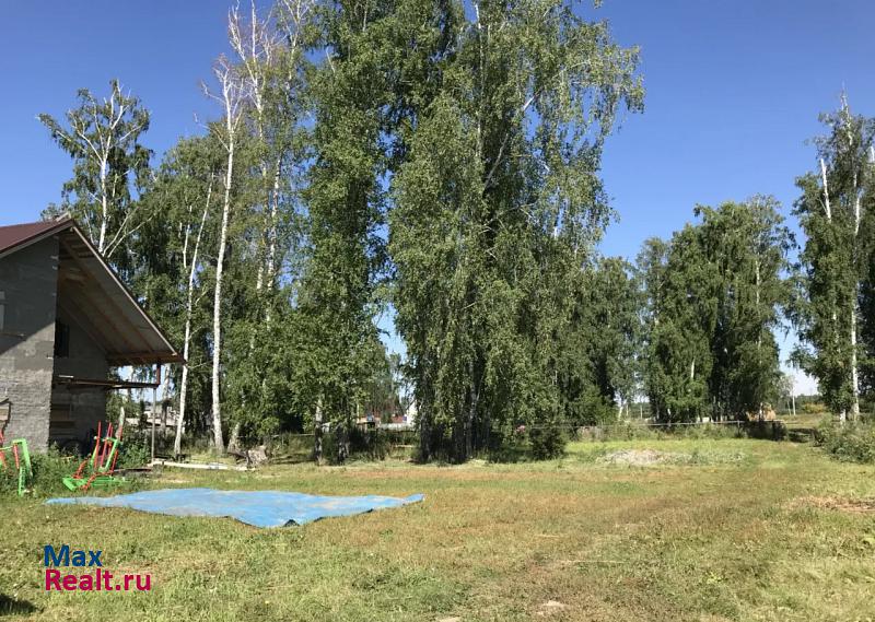 Ярково Новосибирский район, село Боровое продажа частного дома
