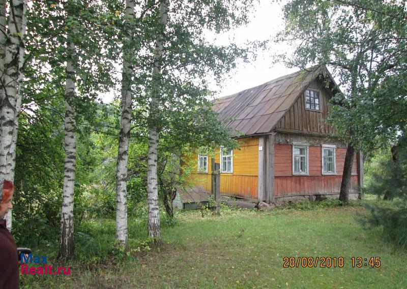 Невель Невельский район, поселок усть-долыссы продажа частного дома