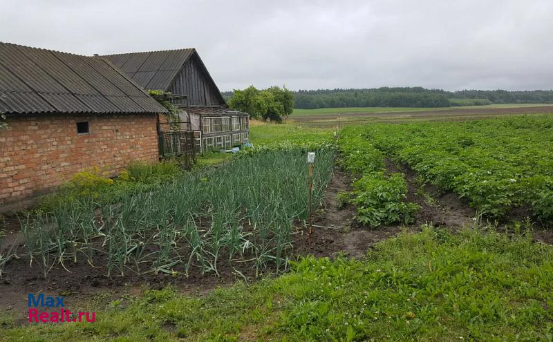 Рудня Руднянский район продажа частного дома