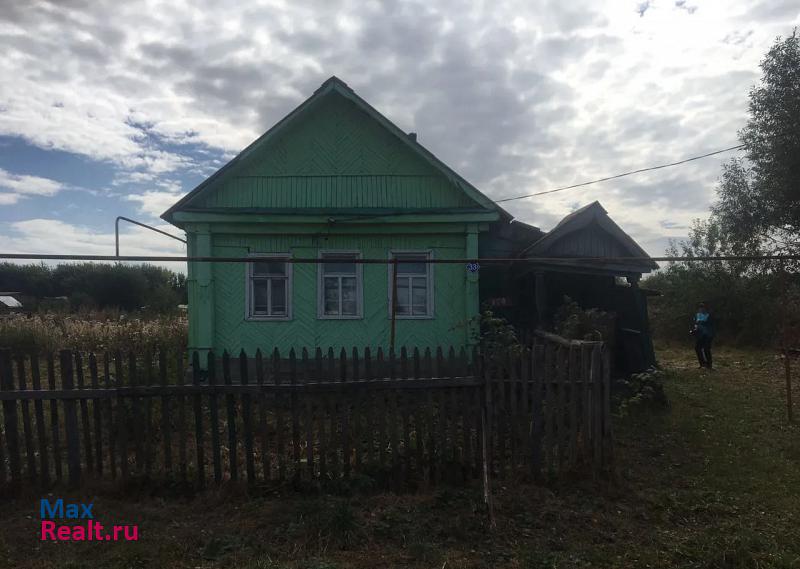 Инсар Пензенская область, село Долгоруково, улица Миневка продажа частного дома