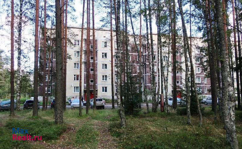 Васкелово Куйвозовское сельское поселение, деревня Ненимяки, 116 квартира купить без посредников
