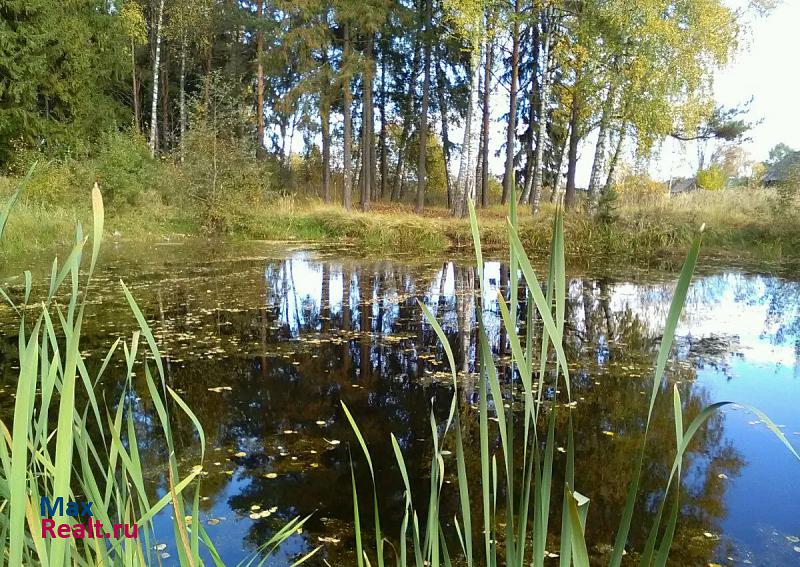 Новописцово посёлок городского типа Новописцово, Лесная улица, 14 продажа частного дома