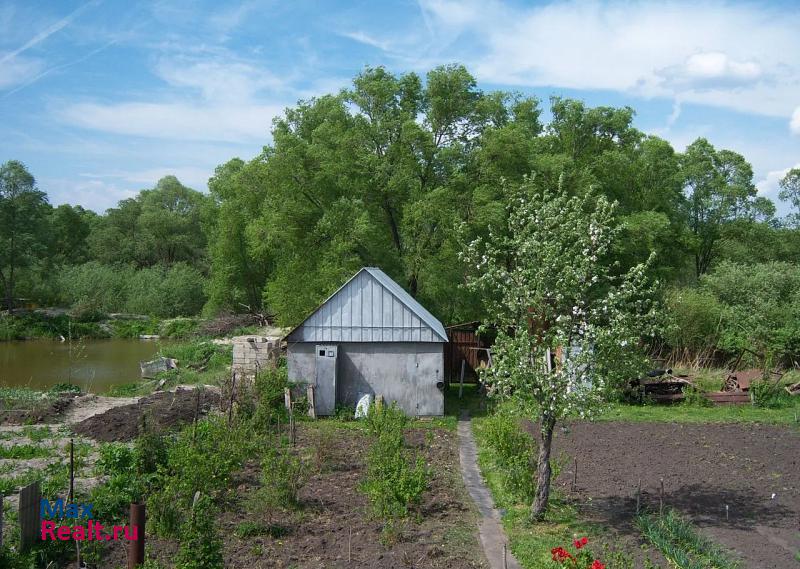 Новая Усмань село Бабяково, Южный переулок продажа частного дома