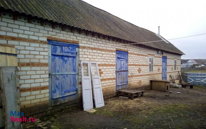 Толбазы деревня Заитово продажа частного дома