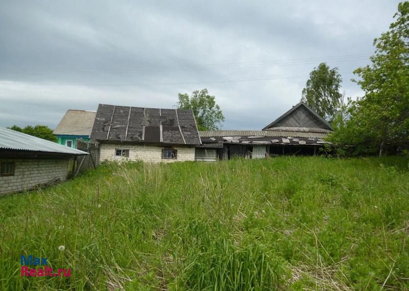 Чкаловск деревня Ванисово дом