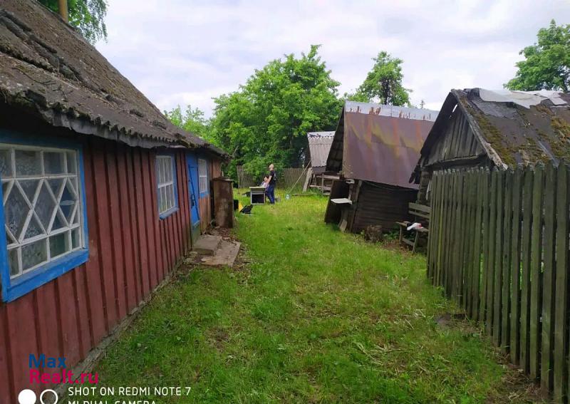 купить частный дом Красный деревня Торчилово, Оршанский район