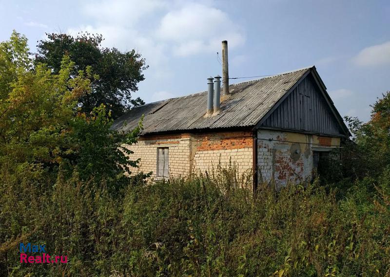 купить частный дом Становое деревня Плоты