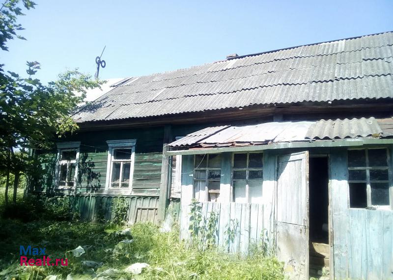 купить частный дом Красный деревня Новая Ржавка