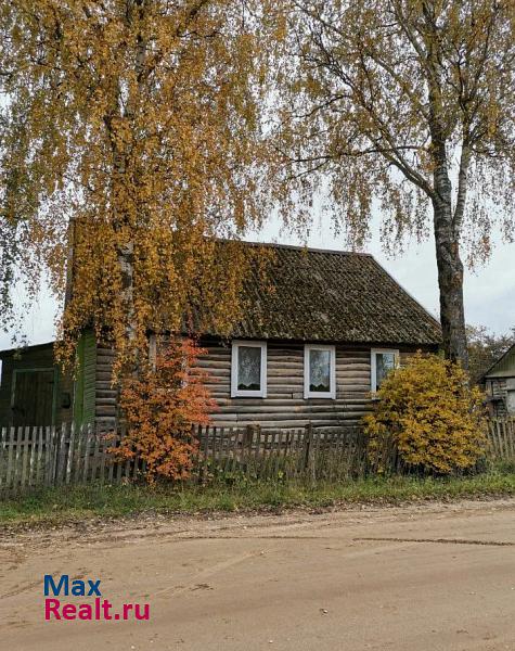 Бежаницы Бежаницкий район, деревня Минино