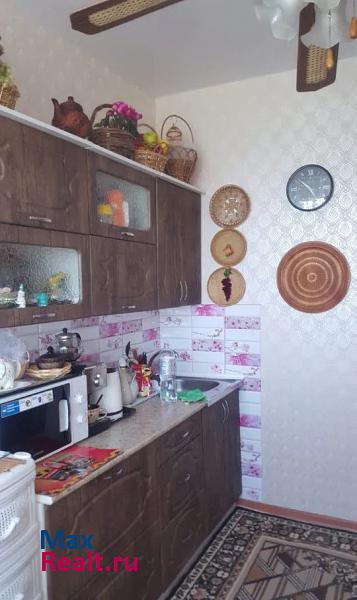 переулок Владимира Мартьянова, 61 Бийск купить квартиру
