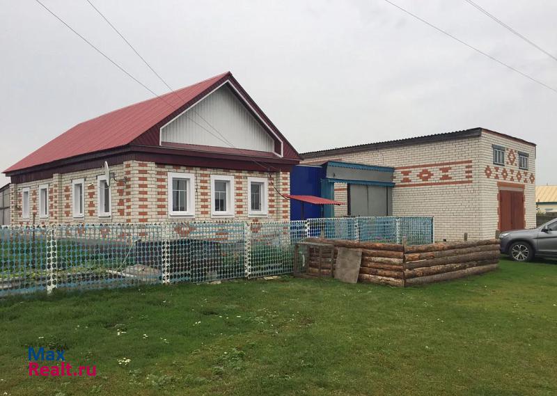 купить частный дом Старое Дрожжаное Ульяновская область, село Богдашкино