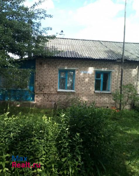 купить частный дом Верхнеднепровский деревня Игнатково