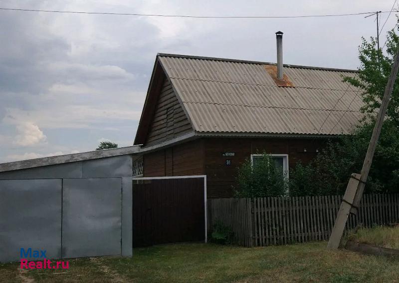 купить частный дом Рубцовск село Ракиты