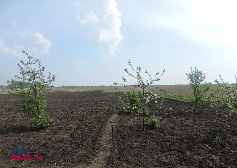 Железногорск село Карманово