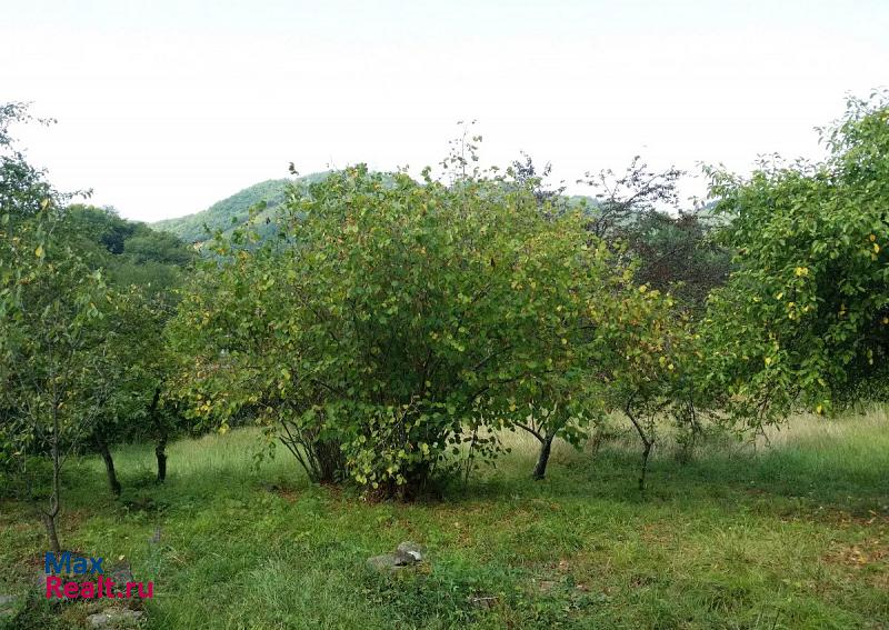 Сочи село Каткова Щель, Кизиловая улица