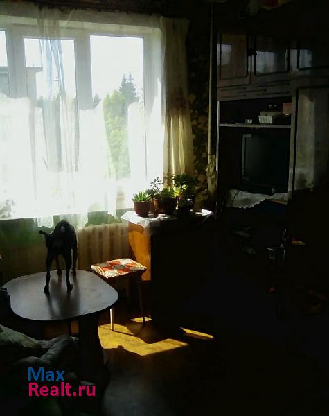 поселок Нарынка, улица Королёва, 7 Новопетровское купить квартиру