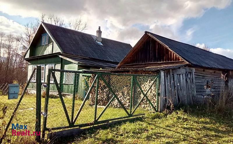 купить частный дом Демидов д. Холм (Закустищенское с/пос), ул Береговая 2