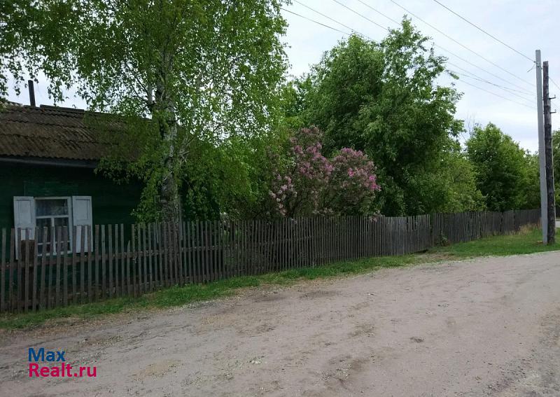 Благовещенск село Новопетровка, Школьная улица, 30