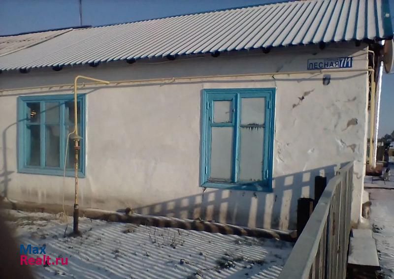 Шербакуль село Борисовское, Лесная улица, 7 частные дома