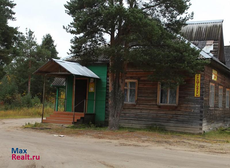 Шенкурск дер. Никифоровская ул. Ленина 12 частные дома