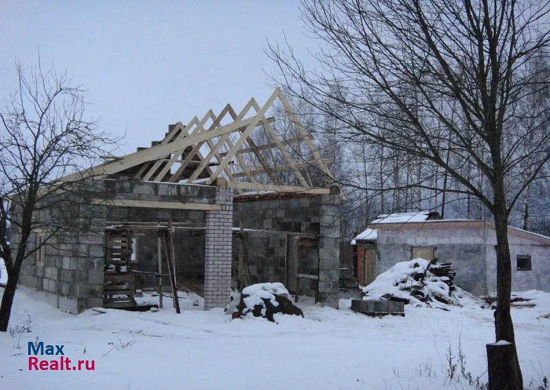 Красный Россия, Краснинский район, деревня Никулино частные дома