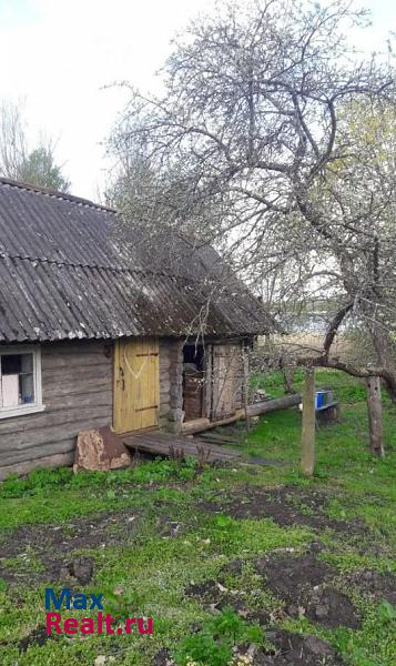 Палкино деревня Вандыши частные дома