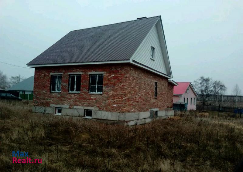 Альметьевск село Бикасаз частные дома