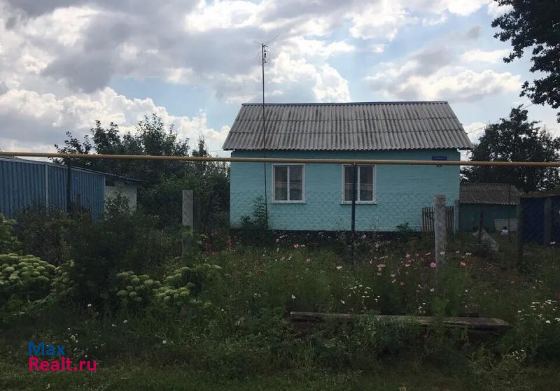 Касторное Липецкая область, село Набережное частные дома
