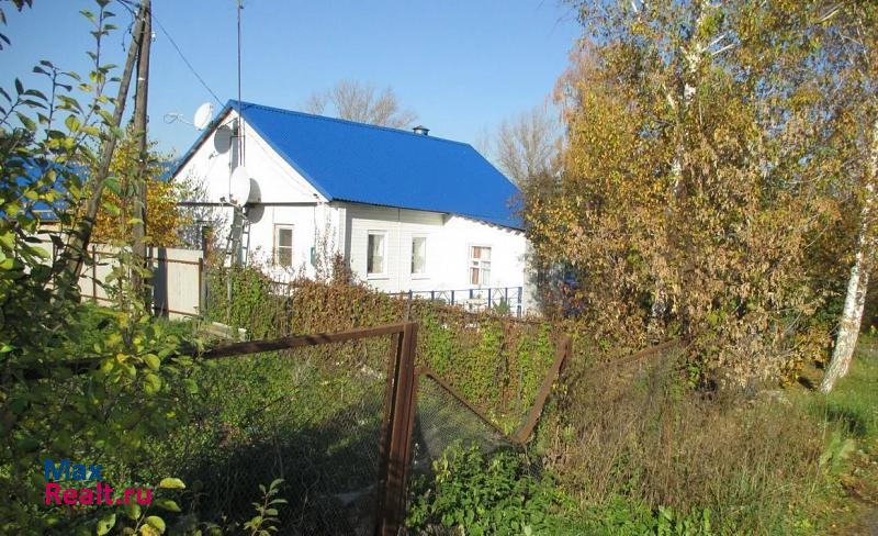 Железногорск Орловская область, деревня Нижнее Муханово частные дома