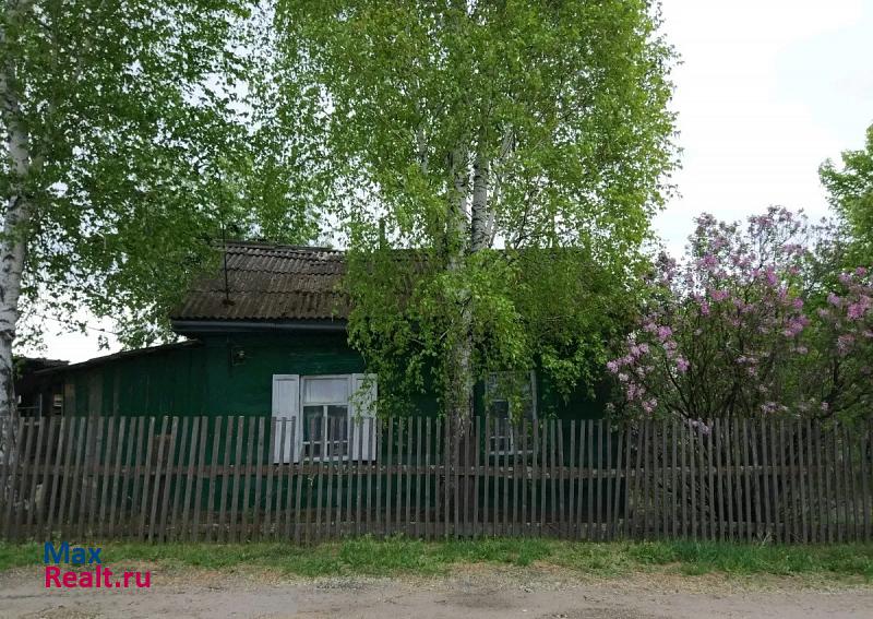 Благовещенск село Новопетровка, Школьная улица, 30 частные дома