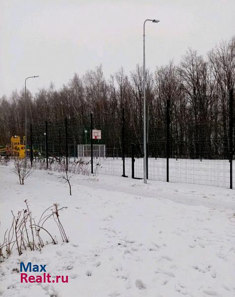 Шигалеевское сельское поселение, село Новое Шигалеево, жилой комплекс Царёво Вилладж Казань продам квартиру