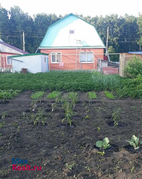 Омск поселок Горячий Ключ, Берёзовая улица, 16А частные дома