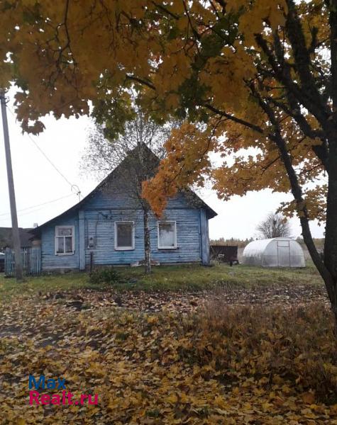 Печоры деревня Кудрово продажа частного дома