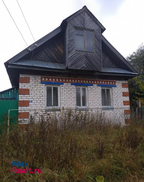 Советский деревня Васлеево продажа частного дома