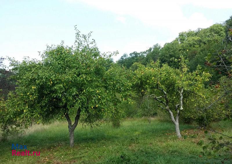 Сочи село Каткова Щель, Кизиловая улица частные дома