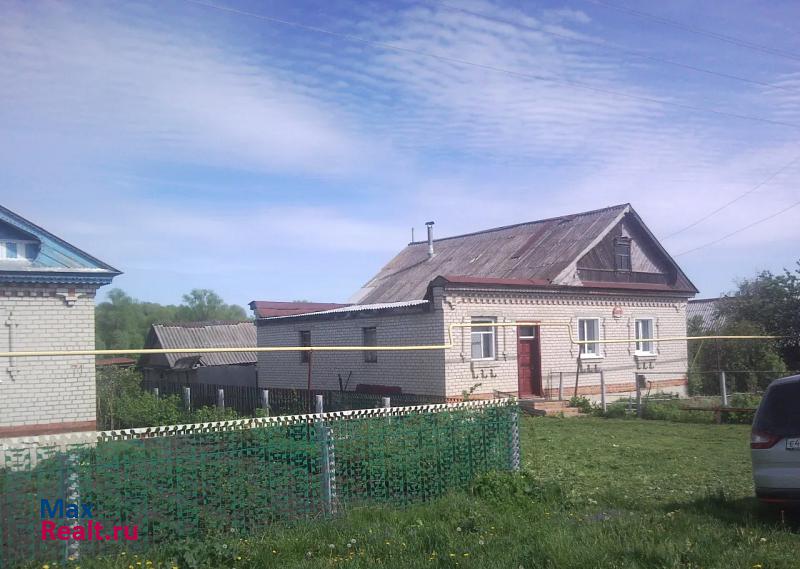 Дубенки село Кочкурово, Октябрьская улица продажа частного дома
