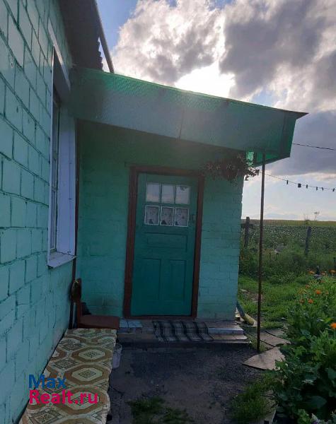 Железногорск Орловская область, деревня Новые Турьи продажа частного дома