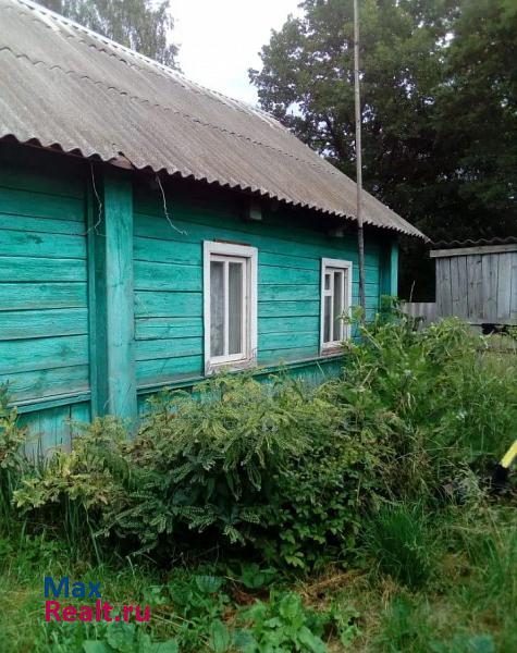 Мглин деревня Колодезки продажа частного дома