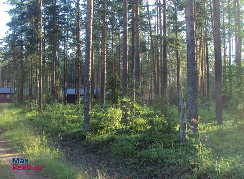 Хвойная поселок Лесной продажа частного дома
