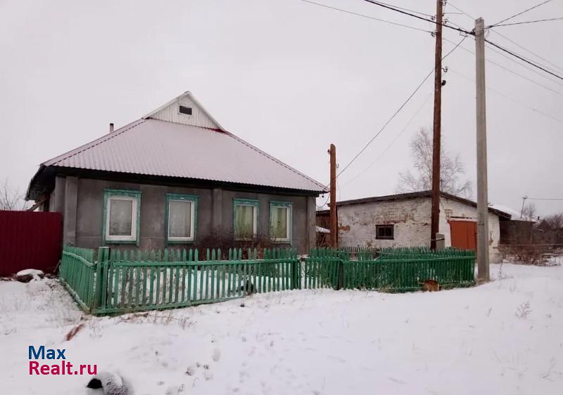 Рубцовск село Веселоярск, улица Ленина, 171 частные дома