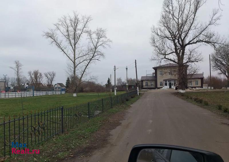 Воробьевка село Берёзовка продажа частного дома
