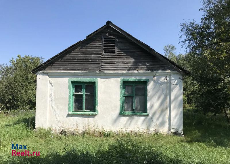 Панино село Новохреновое продажа частного дома