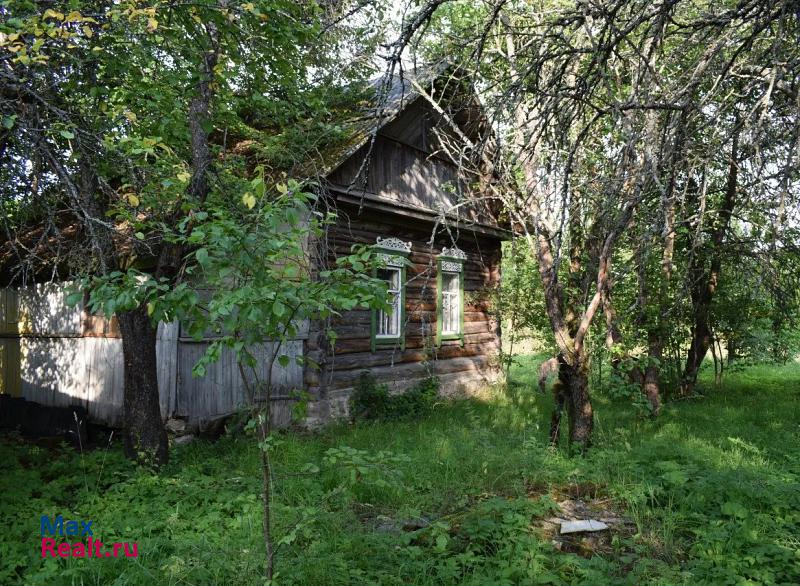 Пустошка деревня Шалахово продажа частного дома