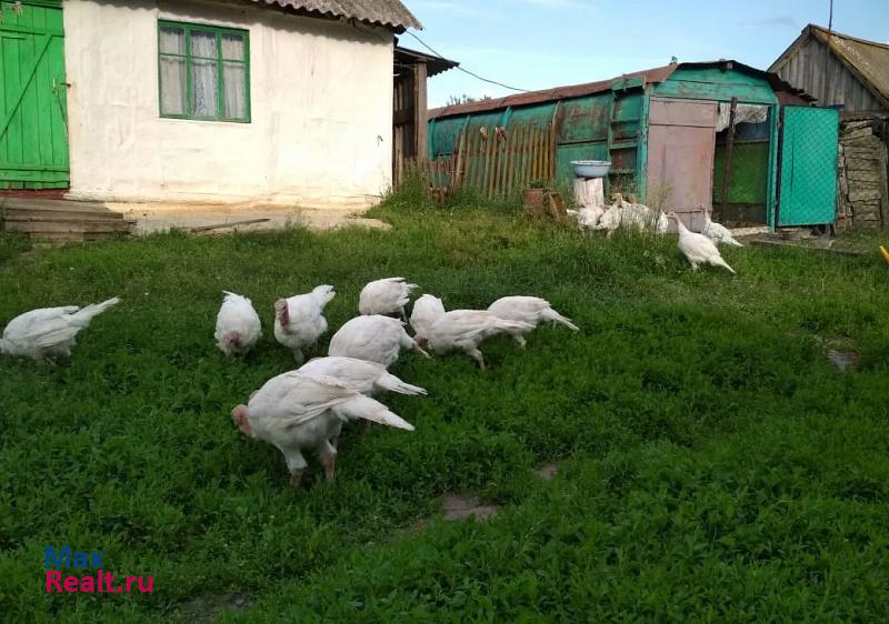 Таловая село, Бутурлиновский район, Сериково продажа частного дома