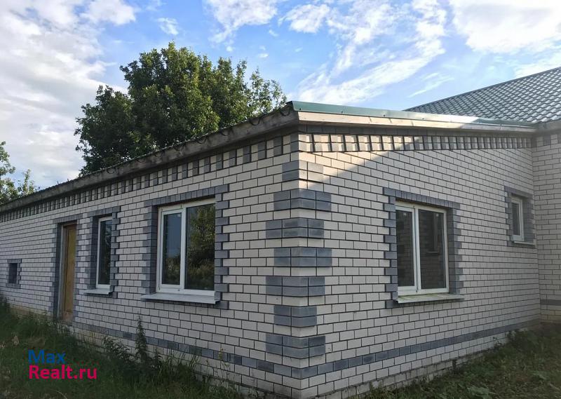 Лукоянов село Большое Мамлеево продажа частного дома