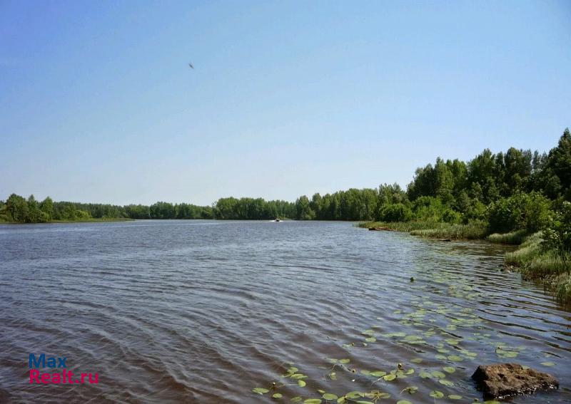 Юрьевец Костромская область, Кадыйский район дом