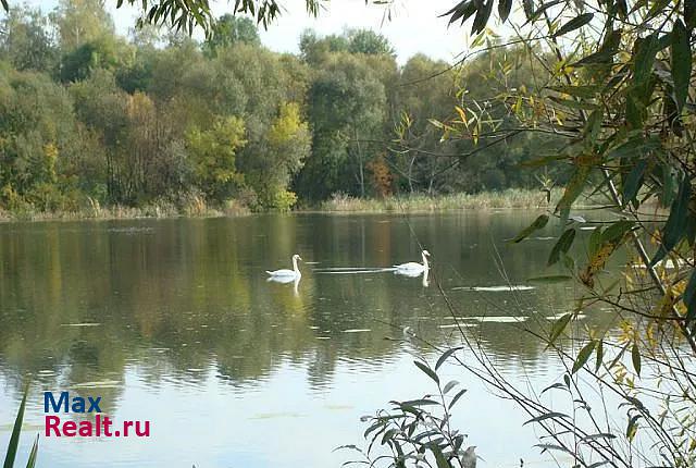 Ивня Курская область, слобода Рыбинские Буды дом